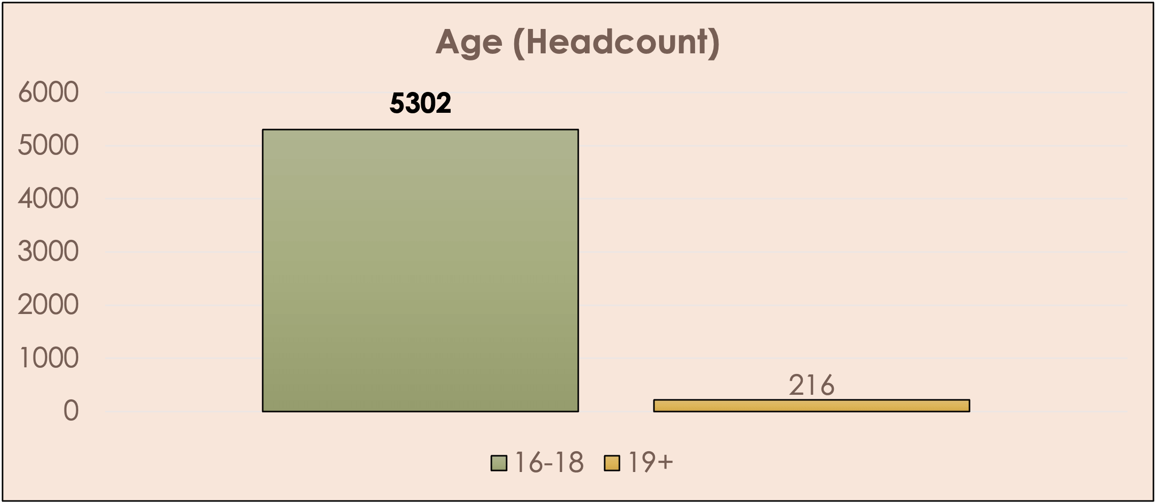 Bar chart showing young people age headcount: 16-18 age group 5,302, 19+ age group 216