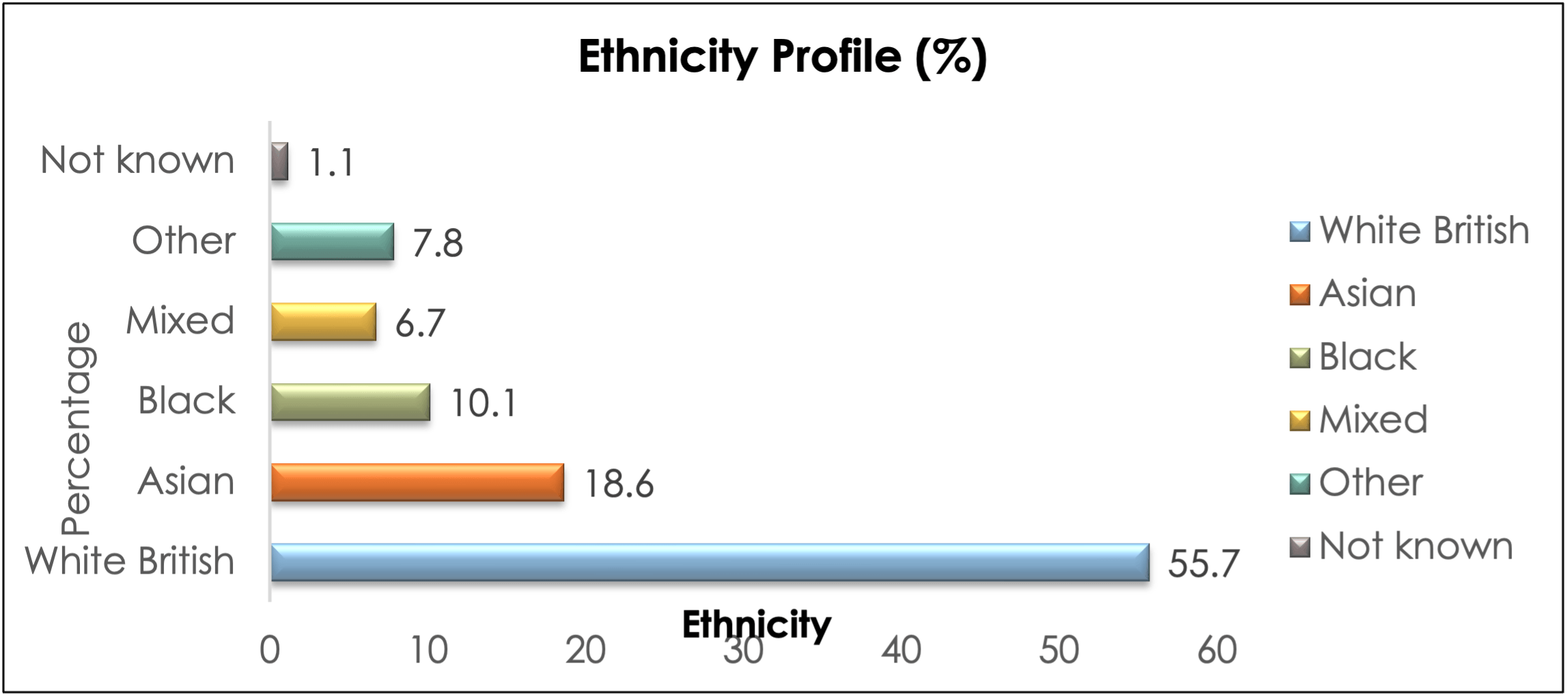Bar chart showing adult ethnicity: White British 55.7%, Asian 18.6%, Black 10.1%, Mixed 6.7%, Other 7.8%
