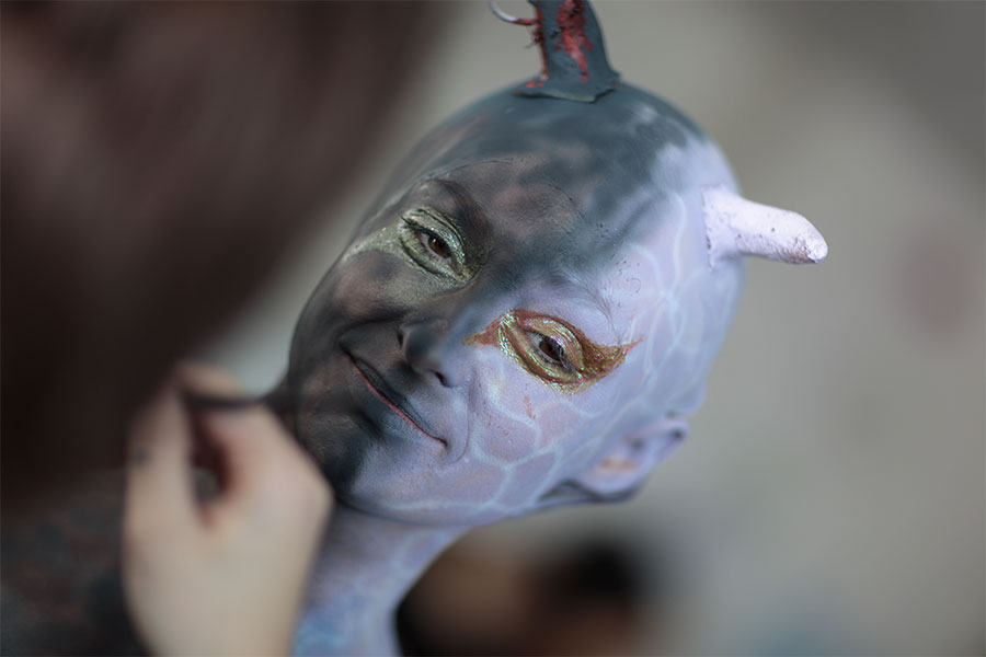 Media Make up